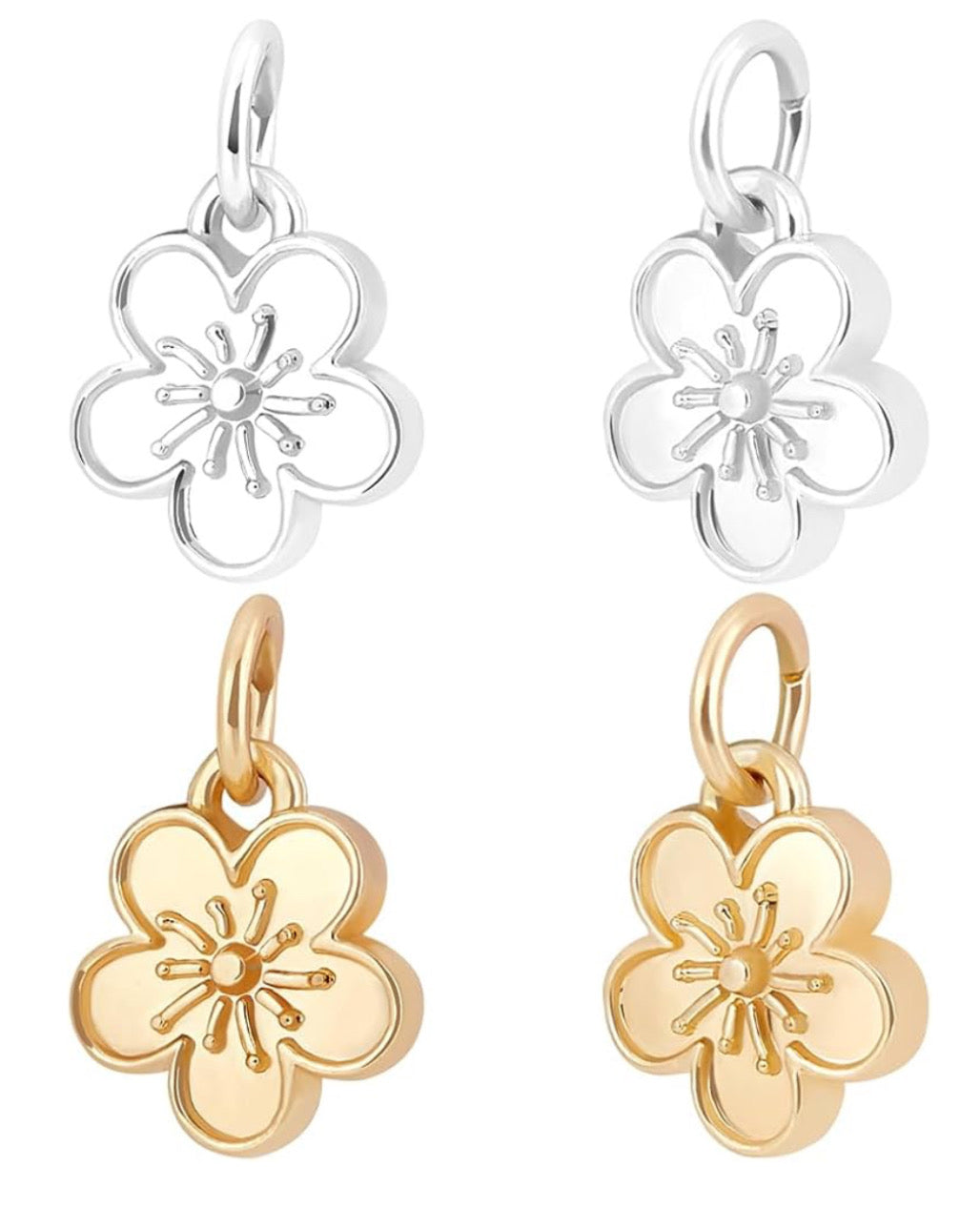 Charm flor
